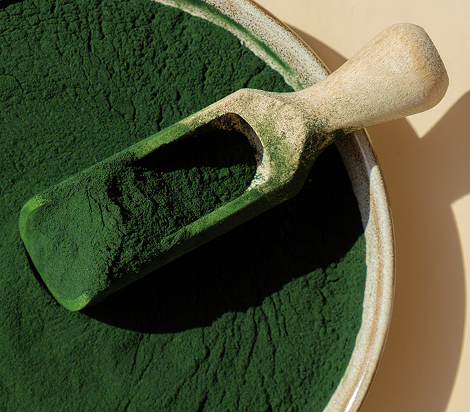 Spirulina Máxima