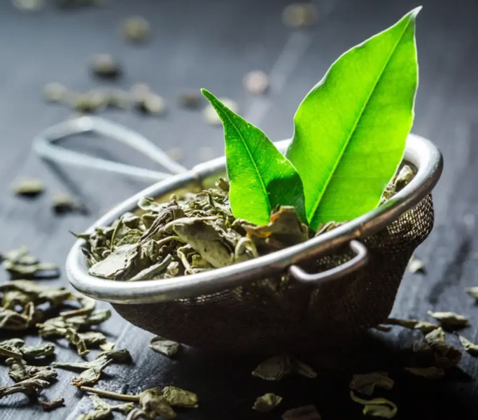 Extracto de Té Verde